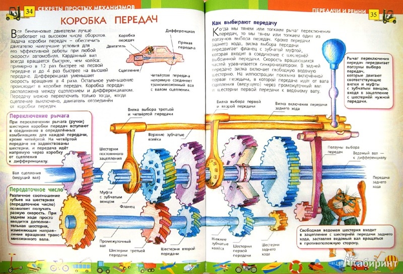 shop nucleation theory