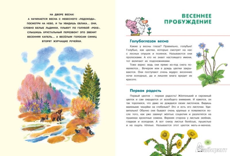 Ответы по Природоведению 5 Класс