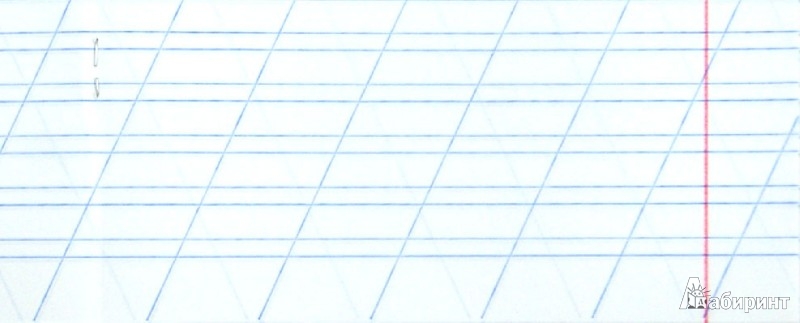 Зебра Для Письма Косая Линия