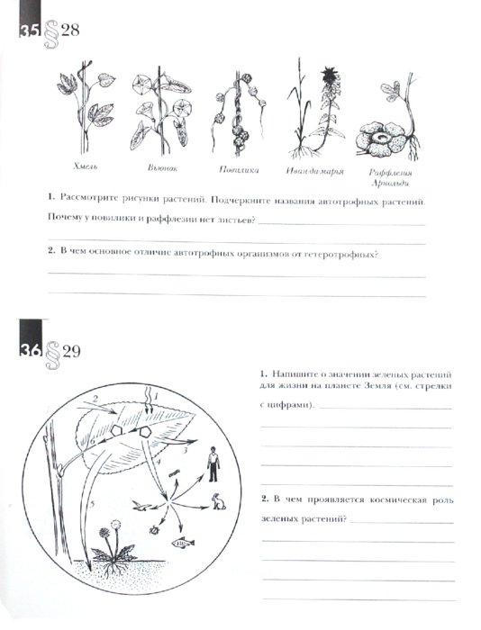 handlungssysteme