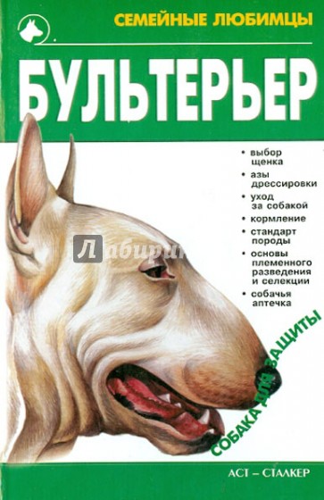 Бультерьер