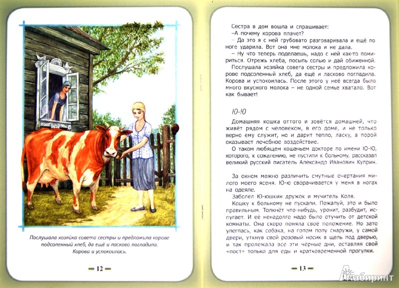 Ждановна рассказы