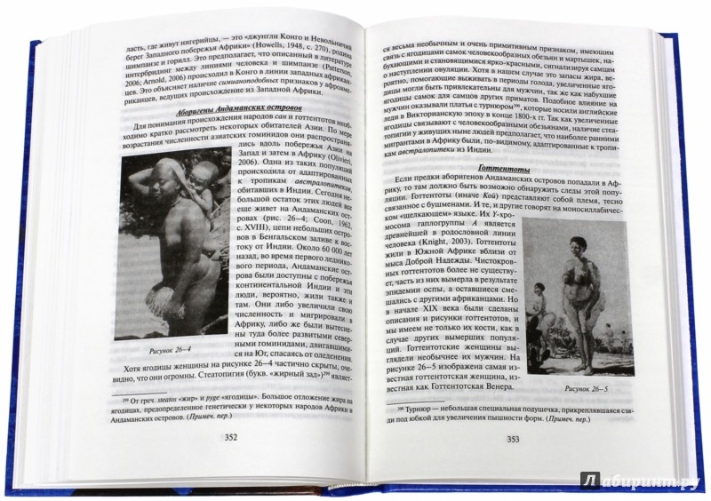 ХОМО ЭРЕКТУС БРОДИТ СРЕДИ НАС КНИГА СКАЧАТЬ БЕСПЛАТНО ХОМО ЭРЕКТУС БРОДИТ СРЕДИ НАС КНИГА СКАЧАТЬ БЕСПЛАТНО