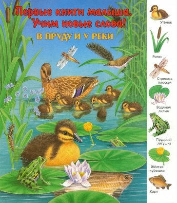В пруду и у реки