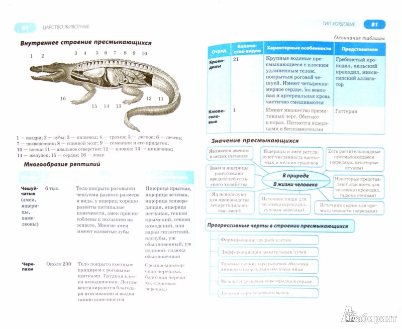 Кирик и дик сборник физика 10 класс