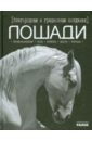 Лошади - Благородные и грациозные создания