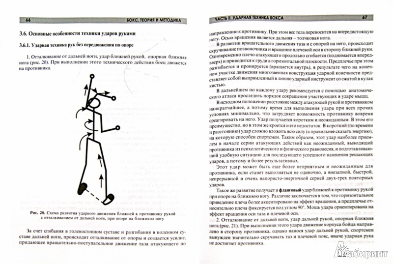 online Eye Movements and Information Processing during Reading