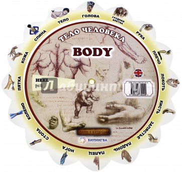 Иллюстрированный тематический словарь "Body" (Тело человека)