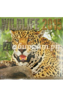   2015 "Wildlife" (2236)