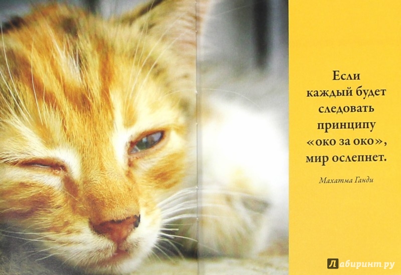 Из поздравлений ты мой дом и мой Из поздравлений ты мой дом и мой