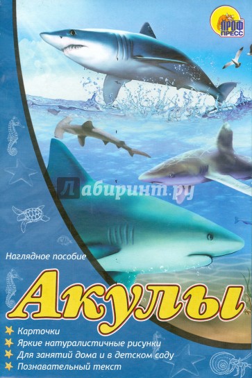 Наглядное пособие А4. Акулы
