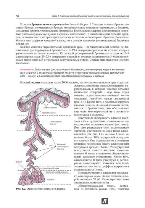 струтынский сердечно-сосудистая система скачать pdf