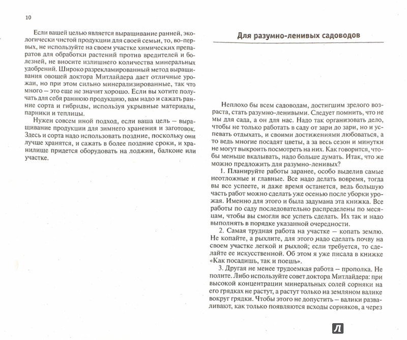 Занятие по рисованию новогодний праздник в детском саду
