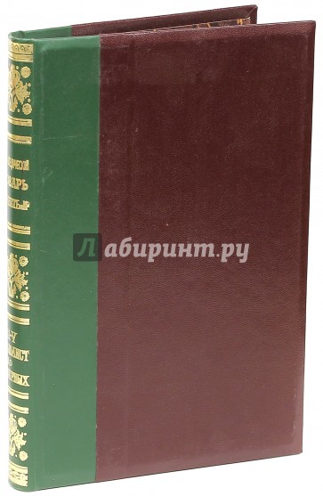 Энциклопедический словарь братьев Гранат. Том 41 (V) Стрелолист-Северных