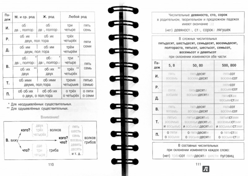 русский язык все правила в таблицах и схемах