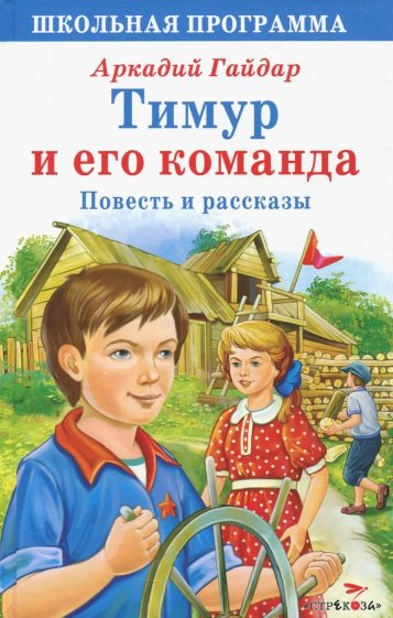Тимур и его команда