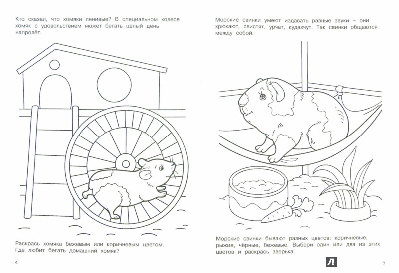 Поговорки развивающие речь Поговорки развивающие речь