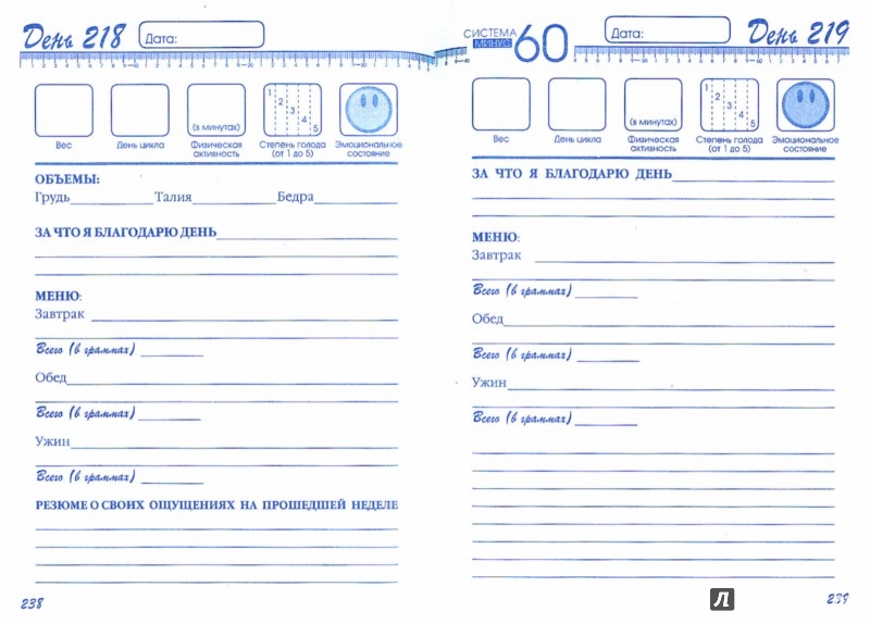 Описание системы Екатерины Миримановой «Минус 60»