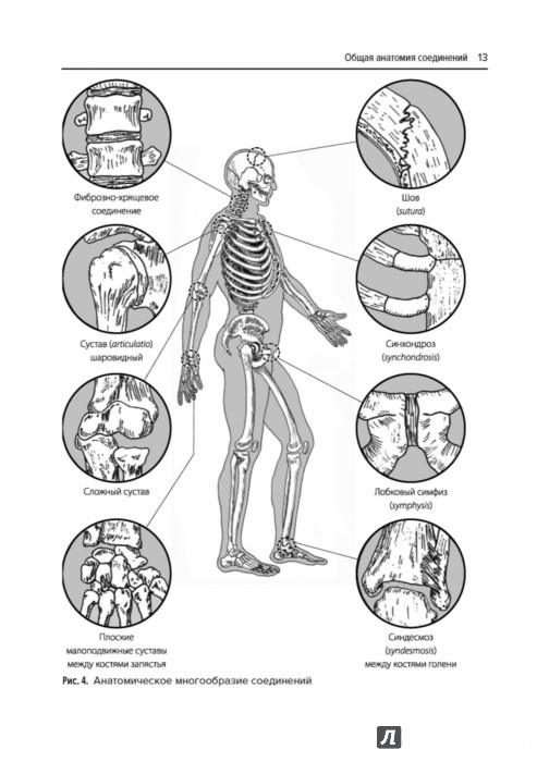 SHOP EVIDENCE-BASED INTERVENTIONS