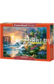  Puzzle-2000 "  " (C-200528)