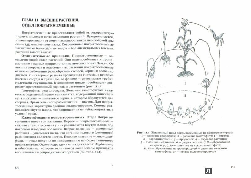 Учебное пособие: Физиология растений