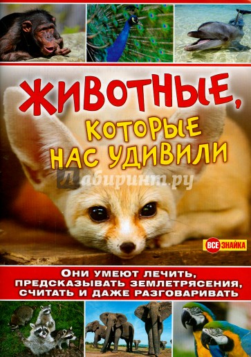 Животные, которые нас удивили