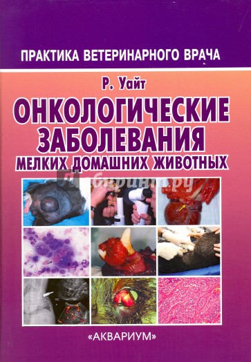 Онкологические заболевания мелких домашних животных
