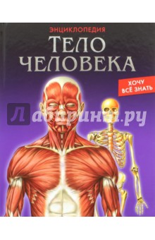 Тело человека