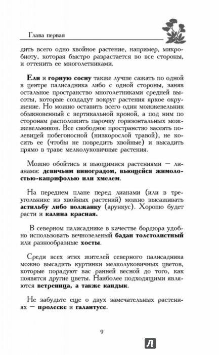 Мой ленивый огород Мой ленивый огород