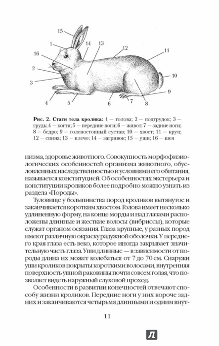 Александр снегов самый полный справочник кроликовода