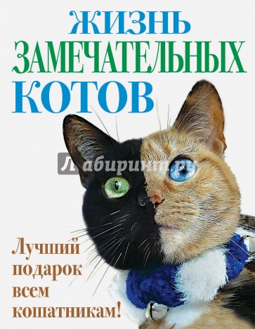 Жизнь замечательных котов