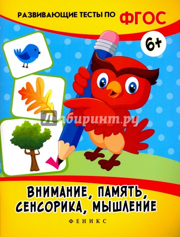 Внимание, память, сенсорика, мышление