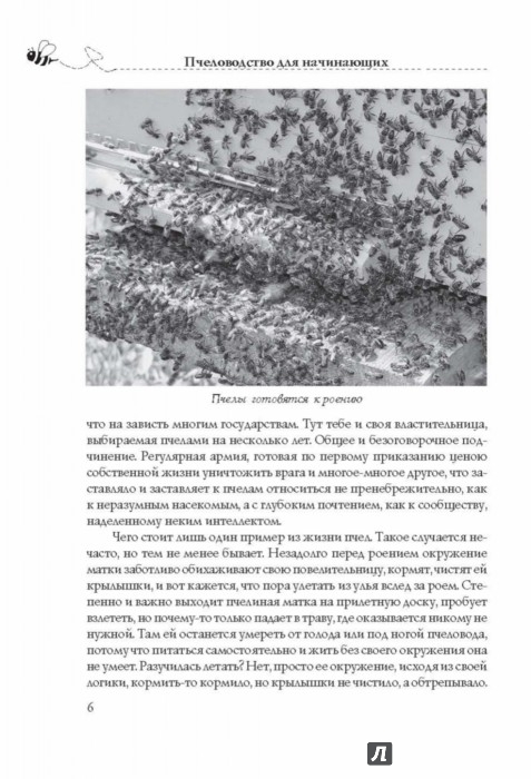 Пошаговая инструкция для начинающих пчеловодов Пошаговая инструкция для начинающих пчеловодов