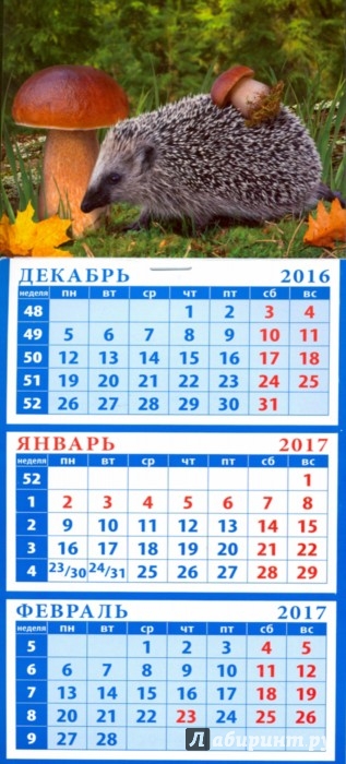 Ежик календарь 2025 распечатать Календарь 2017 "Ежик с грибом" (34720) - Издательство Альфа-книга