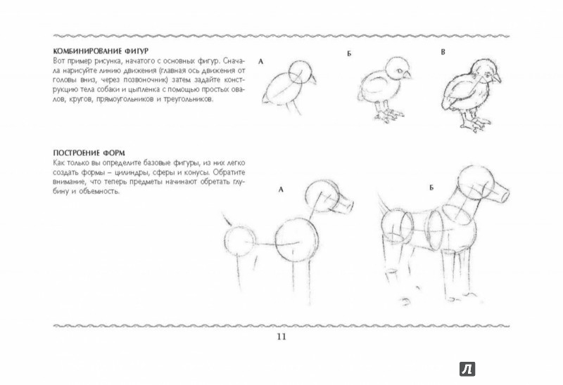 Как научиться рисовать животных книга