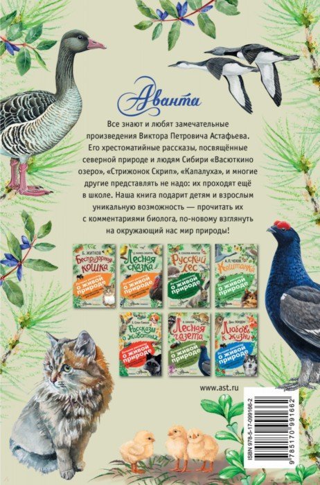 Васюткино озеро. С вопросами и ответами для почемучек - Астафьев Виктор ...