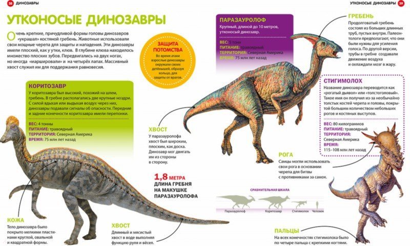 Картинки и описание динозавров