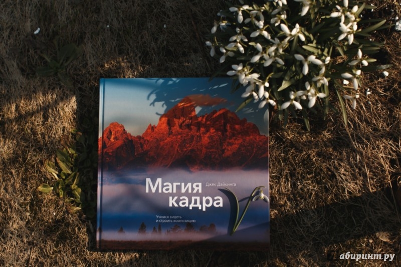 джек дайкинга магия кадра джек дайкинга магия кадра