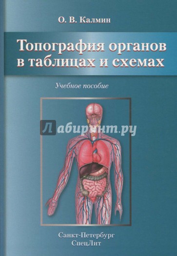 Топография органов в таблицах и схемах. Учебное пособие