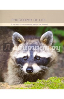 Тетрадь "Raccoon" (48 листов, скрепка) (N861)