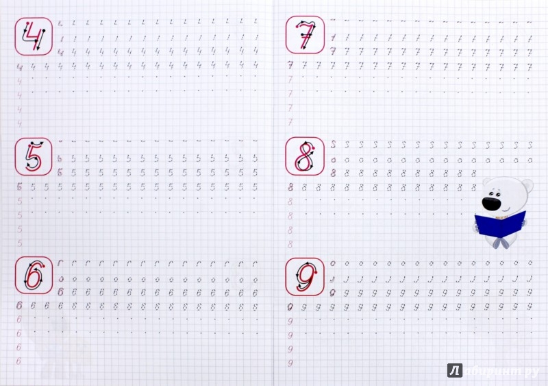 29 прописью