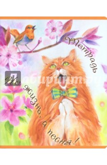 ������� ��� � ����� ��� ��!, �5, 48 ������, ������, � ������������