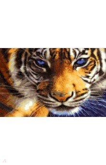 Раскраска по номерам "Тигриный взгляд" (30 х 40 см) (S 3778)
