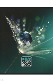 ������� 48 ������ "��������-1", � ������������ (27778)