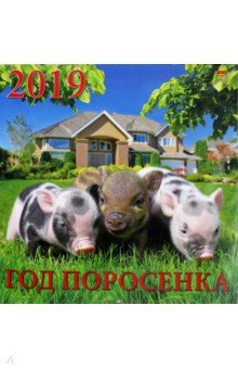 Календарь настенный на 2019 год "Год поросенка" (70922)