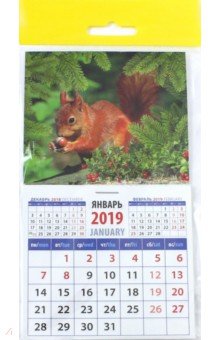 Календарь 2019 "Белка с орехом" (20917)