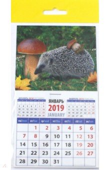 Календарь 2019 "Ежик с грибом" (20919)