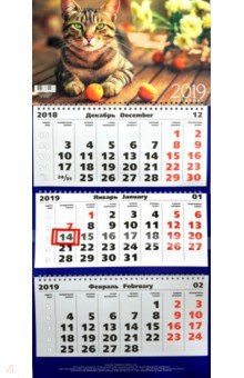 Календарь трехблочный на 2019 год "Зеленоглазый кот" (ККТ 1907)
