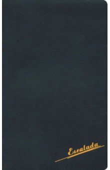 Ежедневник недатированный "Софт-тач" (А 5, 96 листов, черный с неоново-оранжевым) (47473)