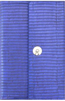 Ежедневник-органайзер недатированный "Рептилия" (160 листов, А 6+, синий металлик) (47625)
